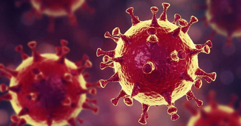 Estava à toa na vida e a pandemia me atropelou