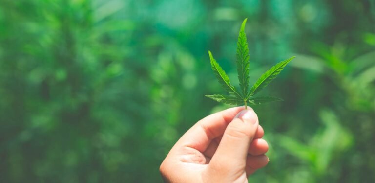 Maconha: o que é que eu e você temos a ver com isso?