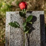 Morte digna: um direito que nos humaniza
