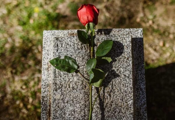 Morte digna: um direito que nos humaniza