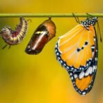 Você já se deu conta de quanto cresceu?