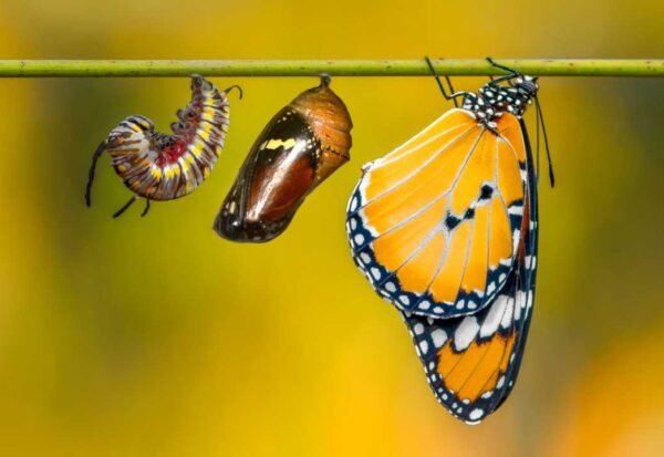 Você já se deu conta de quanto cresceu?